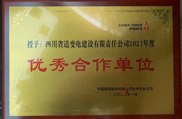 柳州鐵塔獎牌.jpg