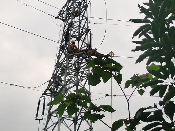 1681870455649010896.jpg 導線展放.jpg